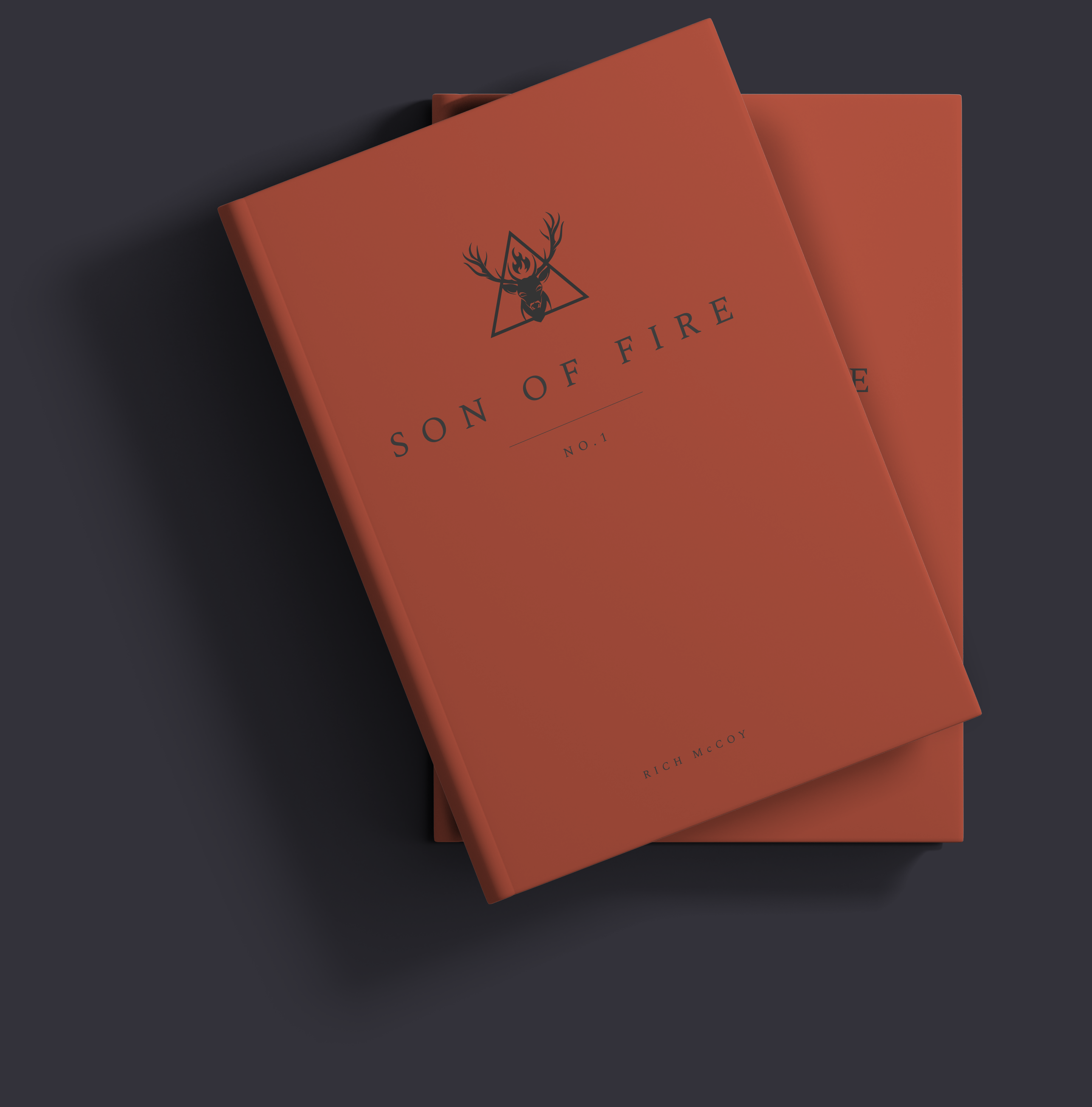 Son of Fire book